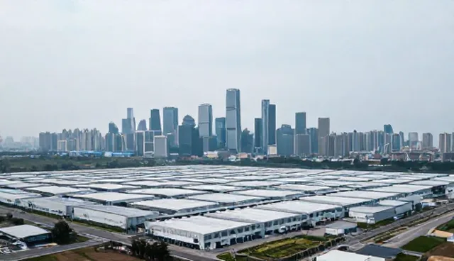 销售服务中的原料控制如何影响质量稳定性